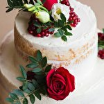 Ірина Шевчук #5210