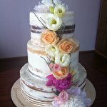 Ірина Шевчук #5210