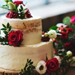 Ірина Шевчук #5210