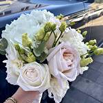 Катерина Дорошенко #10234