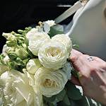 Катерина Дорошенко #10234