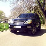 Юля Перевізник #4567