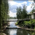 Mikhail  Yankovskiy #9211