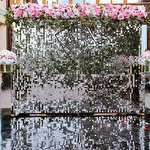 Vesillya Lux   #8089