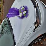 Игорь Андреевич #9834