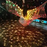 Light Dance  Show #6893