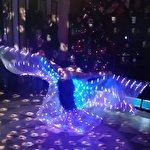 Light Dance  Show #6893