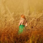 Олександр Діхтяр #2395