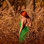 Олександр Діхтяр #2395