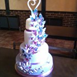 Алина Стеблянко #4809