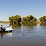 FILM studio SV #1150