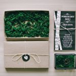 Борис Віктюк #1710