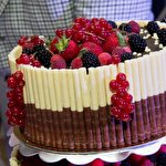 Ірена Томаш #929