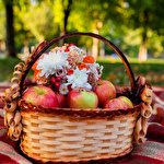 Елена Манко #1926