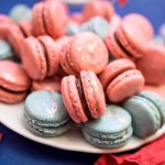 Iryna Steblova #4872