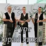 Весільний Листопад  #10344