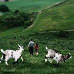 Валерія Ясковець #1555