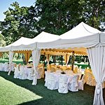 МИР ТОРЖЕСТВА Ольга  Уварова #7450