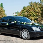 Михаил Куцын #4708