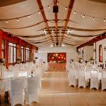 Дмитрий Квіткова лінія #8851