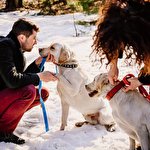 Юлия Ярошенко #3274