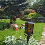 Світлана  #8750