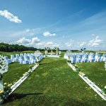 Pushkin Mafia Pushkin&Mafia #2677