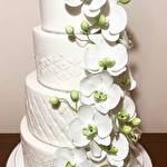 Ірина Хомко #10300