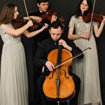 Astring Струнний квартет #9490