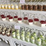 Мар'яна  Метлєва #8113