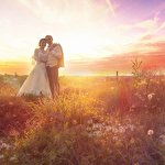 Юрий Волков #2691