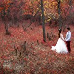 Олег Буковцов #3876