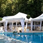 Соломія Стахів #6994