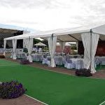 Соломія Стахів #6994