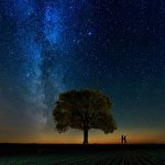 Александр Жосан #3156