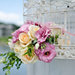 Наталя Макар #6034