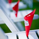 Свадебный Координатор #1143