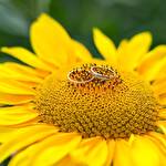 Олександра Подгола #10173