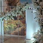 Катерина Неділько #7440