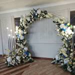 Катерина Неділько #7440