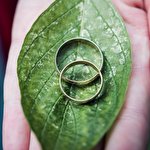 Олег Мальський #6876