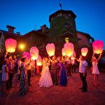 Анна Бондаренко #4531