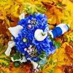 Татьяна Харченко #2800