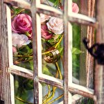 Александр Грозовский #3903