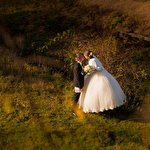 SVIM production #2258