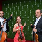 String ensemble Primavera  #8305