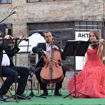 String ensemble Primavera  #8305