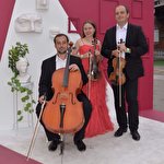 String ensemble Primavera  #8305