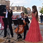 String ensemble Primavera  #8305