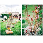 Ірина Гурмаза #3428